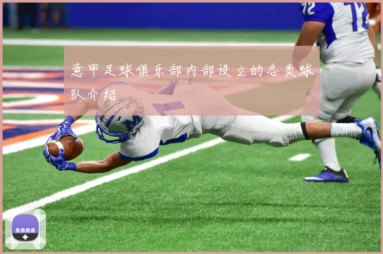 意甲足球俱乐部内部设立的各类球队介绍